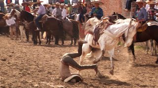 56  Lo Mejor de los Coleaderos  Santa Maria de los Angeles Jalisco [upl. by Kilbride]