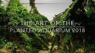 Aquascaping Contest — The Art of the Planted Aquarium 2018 [upl. by Balac864]