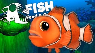 Oceans Largest Clownfish  Feed and Grow Fish Gameplay [upl. by Farra]