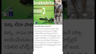 dog snake bite helpline number [upl. by Enitselec463]