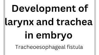 Re A 17 Development of larynx and trachea Tracheoesophageal fistula Anomalies of trachea [upl. by Platas]