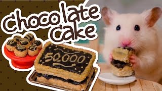 🍫 HamsterSafe Chocolate Cake  HAMSTER KITCHEN 🍫 [upl. by Fenella]