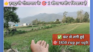 plot for sale haldwani गोलापार 1 बीघा फ्रंट [upl. by Ylrebmic]