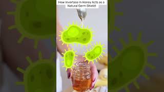 How Honey Stays Fresh Forever shorts trending youtubeshorts viralvideo facts honey [upl. by Trocki]