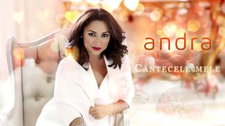 Andra  Cantecele Mele Bonus Track [upl. by Ihcego272]