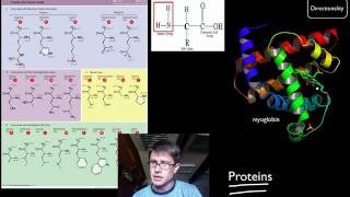 Biological Molecules [upl. by Frodeen]