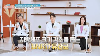 백색 지방 축소로 식욕 억제를 돕는 「BNR17 유산균」  TV정보쇼 알짜왕 366회  JTBC 240425 방송 [upl. by Entirb]