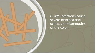 C Diff Infections  Pathophysiology and Nursing Interventions [upl. by Lugar771]