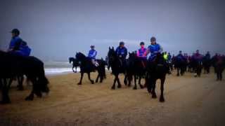 Friese paarden strandrit te Callantsoog 12 Oktober 2013 [upl. by Anilag]