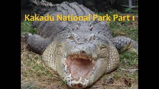 Kakadu National Park Part 1 Darwin to Corroboree Park amp Fogg Dam [upl. by Ahsikin]