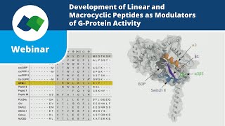 Webinar Development of Linear and Macrocyclic Peptides as Modulators of Gprotein Activity [upl. by Manara]