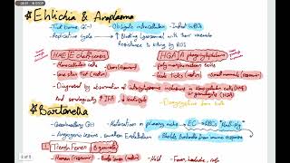 HLS Microbiology lec 45 coxiella rickettsia EBV Parvovirus B19 [upl. by Verada]