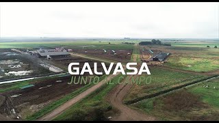 VIDEO GALVASA JUNTO AL CAMPO 31 10 2023 [upl. by Lehcin452]