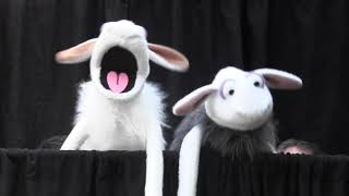 Baa Were Lambs  Puppet Parody Barbara Ann The Beach Boys [upl. by Selena]