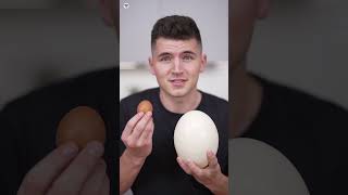 Ostrich egg दुकान में क्यों नहीं मिलता [upl. by Forlini470]