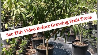 If You Want To Grow Fruit Trees See This Video [upl. by Eseret]