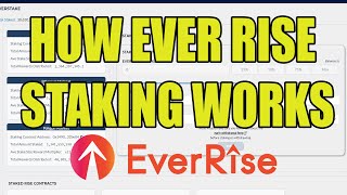 How EverRise Ver 20 Staking Works  How to Stake EverRise V2 Tokens [upl. by Malloch]