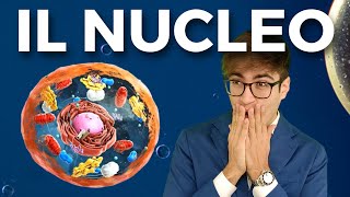 IL NUCLEO della Cellula in 2 MINUTI E MEZZO [upl. by Chane894]