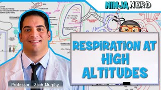 Respiratory  Respiration at High Altitudes [upl. by Rafter213]