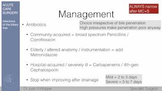 B02 Acute Cholangitis [upl. by Sebastien]