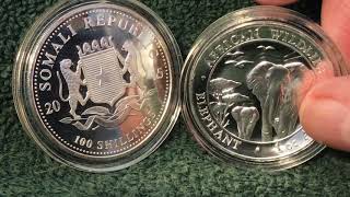 Is This A Coin The Great Somali Elephant Controversy [upl. by Philander348]