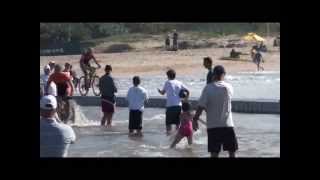 Sani2c 2013 best bridge crashes [upl. by Eiro]