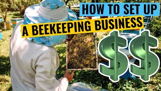 Beekeeping  How To Properly Set Up A Beekeeping Business [upl. by Birdella]