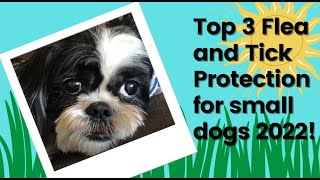 Top 3 BEST Flea and Tick Protection for small dogs with links below [upl. by Aticnemrac]