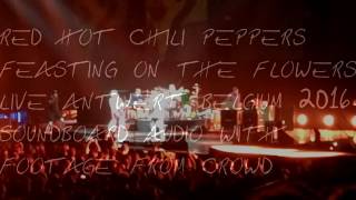 Red Hot Chili Peppers  Feasting on the Flowers live Antwerp 2016 Soundboard audio [upl. by Atteyram802]