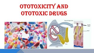 Ototoxicity and Ototoxic Drugs  a Short Overview [upl. by Toth]