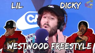 DAVE  Lil Dicky Freestyles At The Breakfast Club [upl. by Assetal]