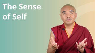 The Sense of Self with Yongey Mingyur Rinpoche [upl. by Weintrob587]