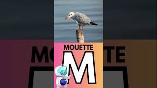 Dapprendre Lalphabet des animaux Lettre M shortsvideo maternelle mouette [upl. by Annah]