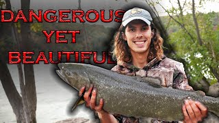 EXTREME Salmon and Steelhead fishing in CRAZY water [upl. by Countess582]