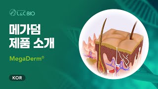 메가덤 MegaDerm 제품 소개 [upl. by Ecahc696]