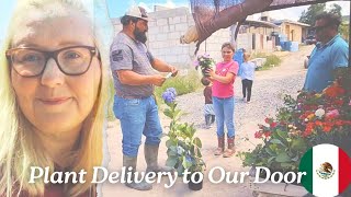 Our Homesteading Life in México  Gardening update  Health Update [upl. by Mapel]