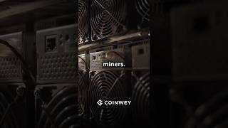 BTC mining difficulty hits new high increasing by 36 Crypto Bitcoin cryptocurrency [upl. by Erving15]