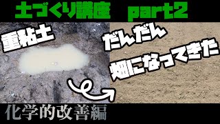 土づくりの基礎【土壌改良②】堆肥や石灰、夏野菜の準備 [upl. by Etiragram]