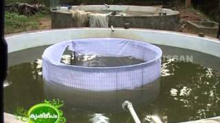 success story of Aquaculture both ornamental as well as inland fishes by young farmer [upl. by Sillsby36]