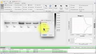 Licor Image Studio Lite  FREE densitometry software [upl. by Adlemi]