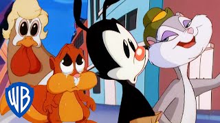 Animaniacs  Everyone But the Warners  Classic Cartoon Compilation  WB Kids [upl. by Colyer]