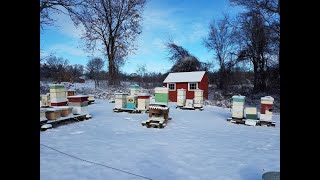 Winter Hive Management September 2020 [upl. by Barnet]