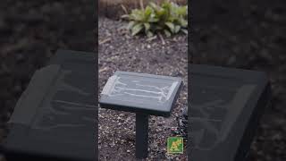 Solar Lights for Your Lawn [upl. by Anerres]