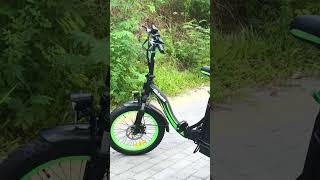 Hidoes C1  Affordable 750W Commuting Folding Electric Bike With A Back Passenger Seat ebikes [upl. by Ahsein]