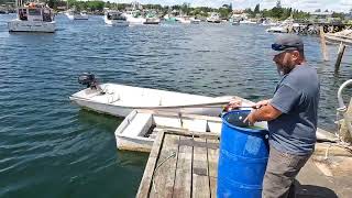 Maine fishing from the shore [upl. by Lekim]