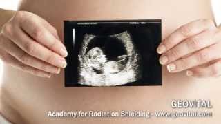 How Radiation EMF affects Fertility Pregnancy amp Children  Interview Geovital [upl. by Sherrod]