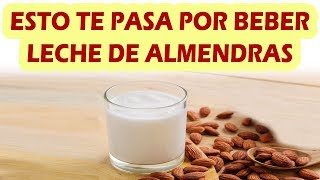 ESTO TE PASA POR BEBER LECHE DE ALMENDRAS Propiedades y Beneficios De La Leche De Almendras [upl. by Kcam156]