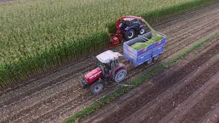 FiMAKS 3 ROWS MAIZE CHOPPER BIGDRUM 2200 [upl. by Hagen]