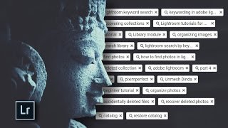 Lightroom Keywords Explained [upl. by Slaohcin323]