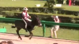 Palio Ferrara 2010 [upl. by Llertniuq]